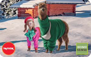 Homesense UK Llama Christmas Personalised