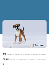 gift lewis john card cards